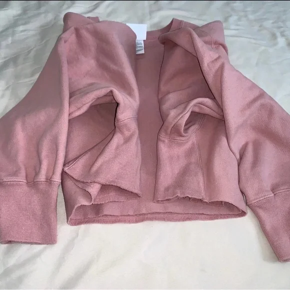 Self Cropped Champion Reverse Weave Sweatshirt - Picture 3 of 5